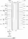 Fig. 03 - CHANNEL LINER FOR SELECT GATE THRESHOLD VOLTAGE TUNING