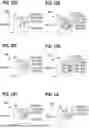 Fig. 51 - MEMORY CHIP AND MEMORY CELL ARRANGEMENTS
