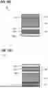 Fig. 55 - MEMORY CHIP AND MEMORY CELL ARRANGEMENTS
