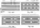 Fig. 13 - 3D SEMICONDUCTOR DEVICES AND STRUCTURES WITH MEMORY CELLS