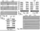 Fig. 20 - 3D SEMICONDUCTOR DEVICES AND STRUCTURES WITH MEMORY CELLS