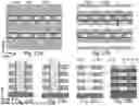 Fig. 21 - 3D SEMICONDUCTOR DEVICES AND STRUCTURES WITH MEMORY CELLS