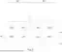 Fig. 06 - Dielectric Layer on Semiconductor Device and Method of Forming the Same