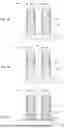 Fig. 10 - UNIFORM SIGE CHANNEL FORMATION FOR GAA PMOS