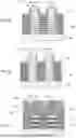 Fig. 13 - UNIFORM SIGE CHANNEL FORMATION FOR GAA PMOS