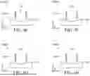 Fig. 07 - HYBRID NANOSTRUCTURE SCHEME AND METHODS FOR FORMING THE SAME