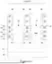 Fig. 12 - TRANSISTOR SOURCE/DRAIN REGIONS