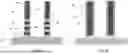 Fig. 09 - SEMICONDUCTOR DEVICE AND MANUFACTURING METHOD THEREOF