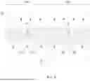Fig. 10 - SEMICONDUCTOR DEVICE AND METHOD