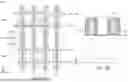 Fig. 14 - GATE SIDEWALL STRUCTURES OF SEMICONDUCTOR DEVICES AND METHODS OF FORMING THE SAME