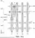 Fig. 69 - GATE SIDEWALL STRUCTURES OF SEMICONDUCTOR DEVICES AND METHODS OF FORMING THE SAME