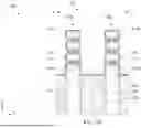 Fig. 14 - SEMICONDUCTOR DEVICE AND METHODS OF FORMATION