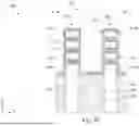 Fig. 25 - SEMICONDUCTOR DEVICE AND METHODS OF FORMATION
