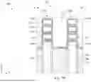 Fig. 26 - SEMICONDUCTOR DEVICE AND METHODS OF FORMATION
