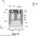 Fig. 56 - GATE-ALL-AROUND DEVICES