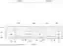 Fig. 18 - HYBRID INTEGRATED CIRCUIT DIES