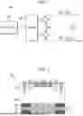 Fig. 02 - THREE-DIMENSIONAL BIPOLAR-CMOS-DMOS (BCD) STRUCTURE WITH INTEGRATED BACK-SIDE CAPACITOR