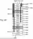 Fig. 27 - METHODS FOR FABRICATING A MULTILEVEL SEMICONDUCTOR DEVICE AND STRUCTURE WITH IMAGE SENSORS AND WAFER BONDING