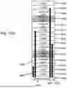 Fig. 28 - METHODS FOR FABRICATING A MULTILEVEL SEMICONDUCTOR DEVICE AND STRUCTURE WITH IMAGE SENSORS AND WAFER BONDING