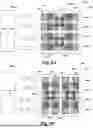 Fig. 13 - IMAGE SENSOR INTEGRATED CHIP STRUCTURE