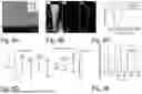 Fig. 07 - PHOTODETECTOR AND METHOD OF DISTINGUISHINGLY DETECTING PHOTONS OF DIFFERENT PHOTON ENERGIES USING SAME