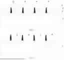 Fig. 03 - PREPARATION METHOD FOR GRID LINE, PREPARATION METHOD FOR CELL SHEET, AND PHOTOVOLTAIC CELL