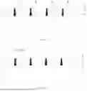 Fig. 06 - PREPARATION METHOD FOR GRID LINE, PREPARATION METHOD FOR CELL SHEET, AND PHOTOVOLTAIC CELL