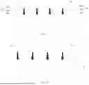 Fig. 16 - PREPARATION METHOD FOR GRID LINE, PREPARATION METHOD FOR CELL SHEET, AND PHOTOVOLTAIC CELL