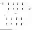 Fig. 19 - PREPARATION METHOD FOR GRID LINE, PREPARATION METHOD FOR CELL SHEET, AND PHOTOVOLTAIC CELL