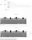 Fig. 02 - SOLAR CELL, PHOTOVOLTAIC MODULE, AND METHOD FOR PACKAGING SOLAR CELL