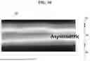 Fig. 11 - LIGHT EMITTING ELEMENT AND DISPLAY DEVICE INCLUDING THE SAME