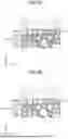 Fig. 06 - METHOD OF MANUFACTURING LIGHT-TRANSMISSIVE MEMBER, LIGHT-TRANSMISSIVE MEMBER, AND LIGHT-EMITTING DEVICE