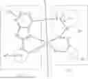 Fig. 56 - ORGANIC ELECTROLUMINESCENT MATERIALS AND DEVICES