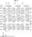 Fig. 10 - DISPLAY DEVICE