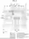 Fig. 10 - DISPLAY DEVICE