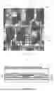 Fig. 25 - DISPLAY SUBSTRATE AND DISPLAY DEVICE