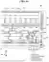 Fig. 15 - DISPLAY DEVICE