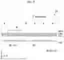 Fig. 09 - DISPLAY DEVICE AND METHOD OF FABRICATING THE SAME