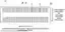 Fig. 01 - DIE, METHOD FOR MANUFACTURING DIE, DROPLET EJECTION HEAD, AND DROPLET EJECTION DEVICE