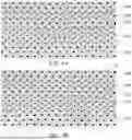 Fig. 05 - SEMICONDUCTOR MEMORY DEVICE AND METHOD FOR FABRICATING THE SAME