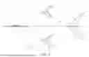 Fig. 10 - CONFIGURATION OF A ROW CROP CULTIVATOR ROW UNIT