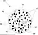 Fig. 01 - BIOCHAR GRANULE CONTAINING PELLETS