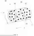 Fig. 02 - BIOCHAR GRANULE CONTAINING PELLETS