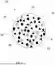 Fig. 03 - BIOCHAR GRANULE CONTAINING PELLETS