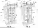 Fig. 04 - Multi-Species Cervical Spine Extension