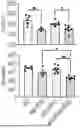 Fig. 01 - WILD-DERIVED MOUSE MODELS OF ALZHEIMER’S DISEASE
