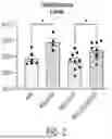 Fig. 03 - WILD-DERIVED MOUSE MODELS OF ALZHEIMER’S DISEASE