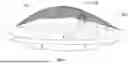 Fig. 05 - COLLAPSIBLE MOUNTED HUNTING BLIND