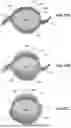 Fig. 29 - SYSTEM FOR HYPOTHERMIC TRANSPORT OF SAMPLES