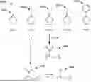 Fig. 01 - PARTIALLY DEACYLATED POLY(2-ETHYL-2-OXAZOLINE) ANTIPATHOGEN APPARATUS AND METHOD OF USE THEREOF
